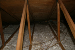 IMG_1594, West Eave Trampling.JPG